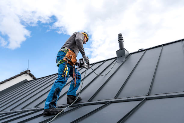 Best Solar Panel Roofing Installation  in Oconto, WI